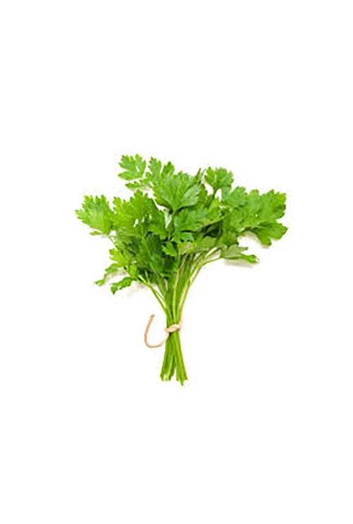 Coriander Leaves (Dhonia Pata) 100 gm