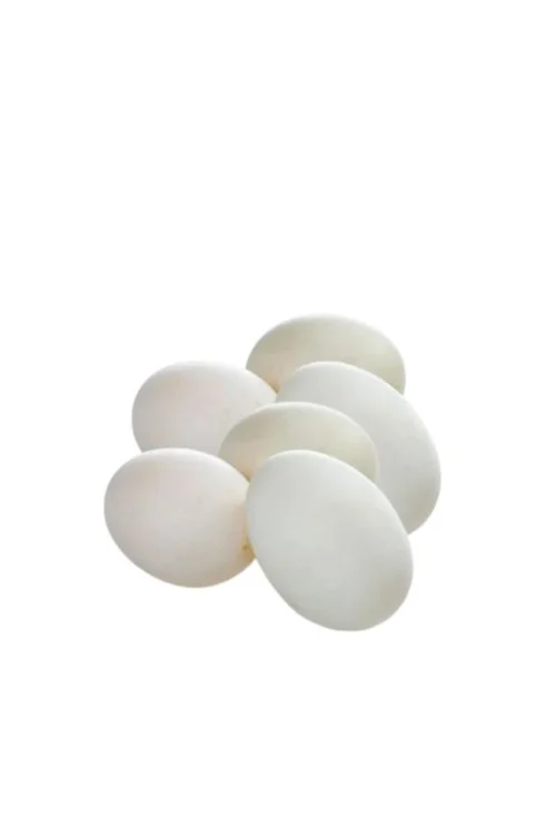Duck Eggs (Hasher Dim) 6 pcs