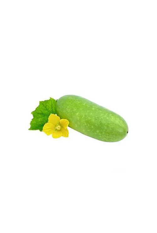 Jali Kumra (Water Pumpkin)