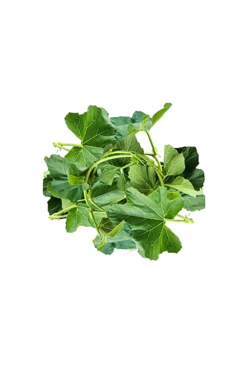 Lau Shak (Sweet Bitter Melon Leaves)