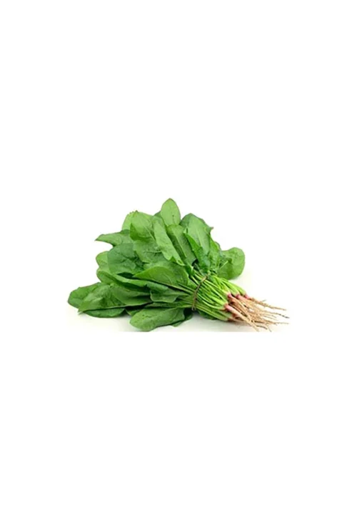 Palong Shak (Palong Spinach) 1 Bundle