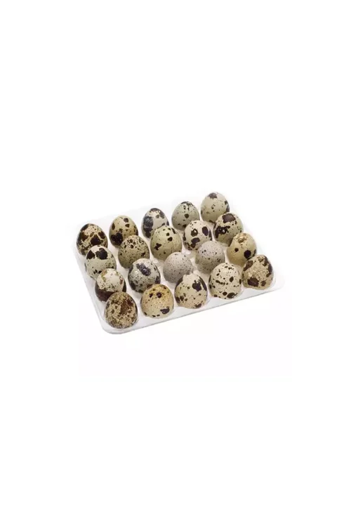 Quail Eggs 20 pcs