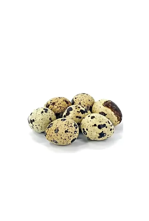 Quail Eggs 1 pcs