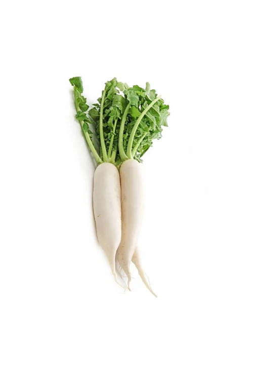 Mula (Radish) ± 25 gm 500 gm
