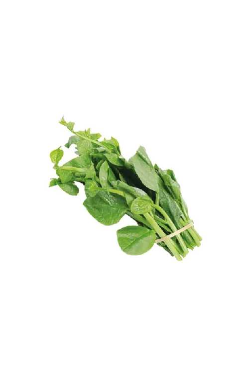 Pui Shak (Pui Spinach) 1 bundle