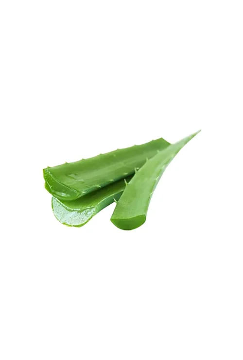 Aloe Vera each