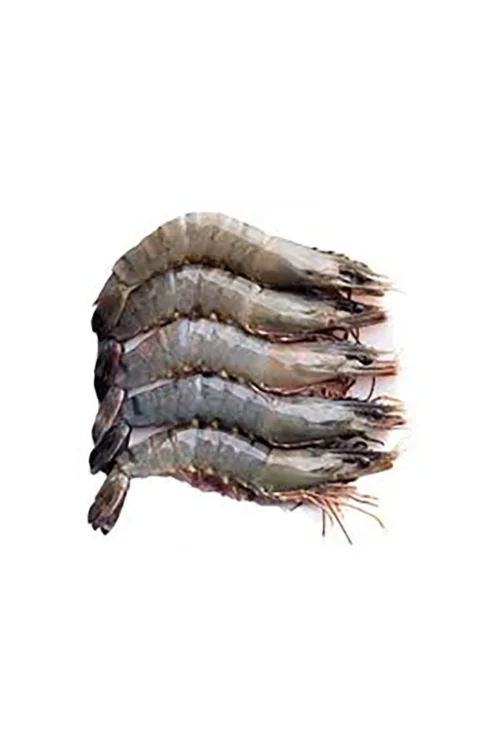 Bagda Chingri (Shrimp) 18-22 pcs (±30 gm) 500 gm