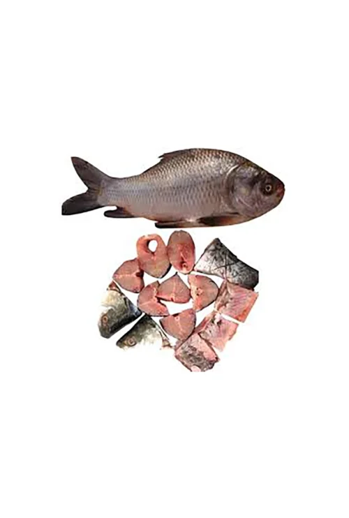 Catla Fish After Cutting ±70 gm 1.5 kg