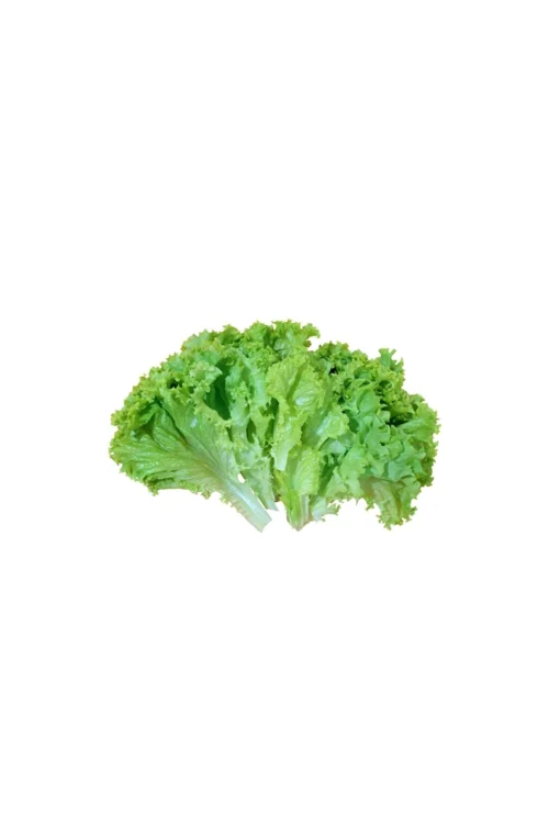 Lettuce leaves 100gm