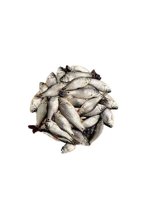 Puti Fish 250 gm