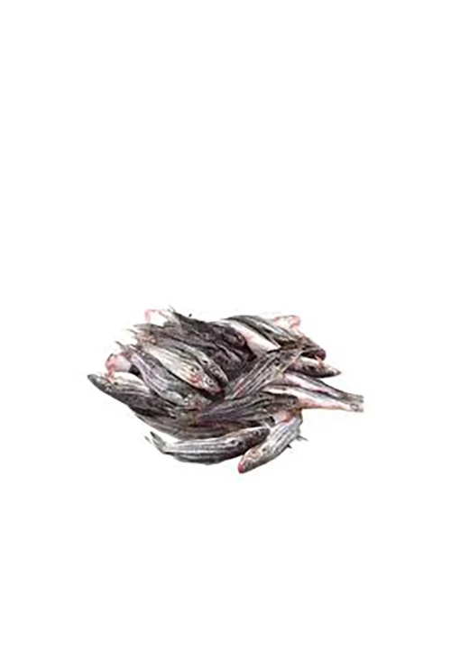 Tengra Fish Deshi 500 gm