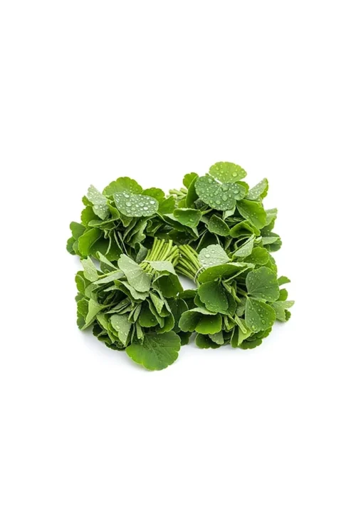 Thankuni Pata (Pennywort Leaves) 1 bundle