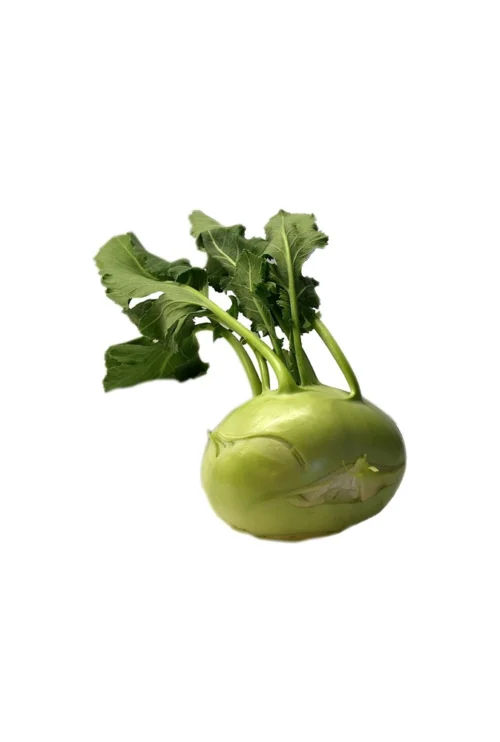 Kohlrabi (Shalgom) ± 20 gm 1kg