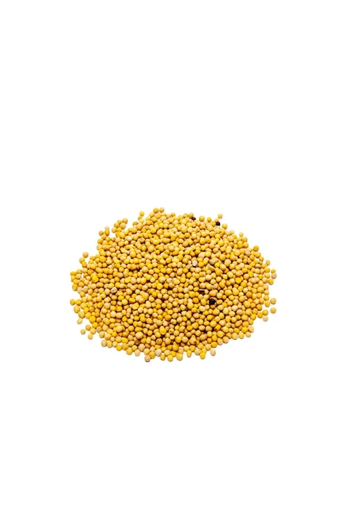 Mustard Seed (Yellow) 100 gm