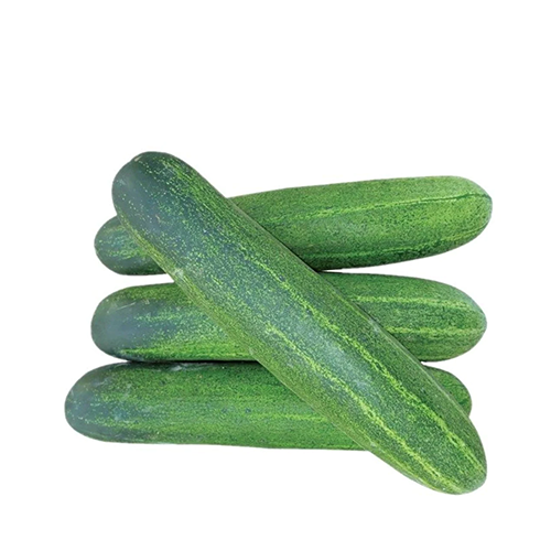 Shosha (Imported Cucumber) ± 25 gm 1 kg